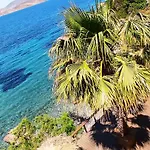 Fatolitis * Masouri