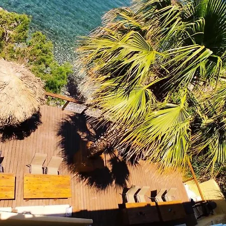 Fatolitis * Μασούρι