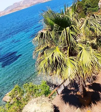 Fatolitis * Masouri