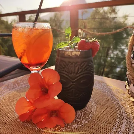 Fatolitis דירה *