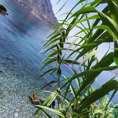 Fatolitis דירה *