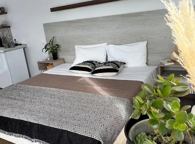 Apartament Fatolitis *